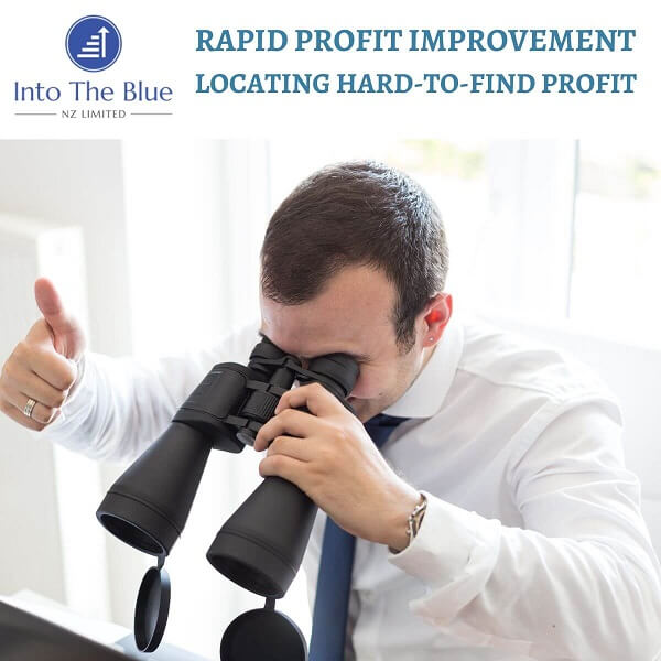 Rapid Profit Improvement – More than a Priority
