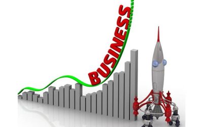 Coping with Rapid Business Growth