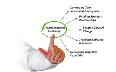 Change / Transformational Management