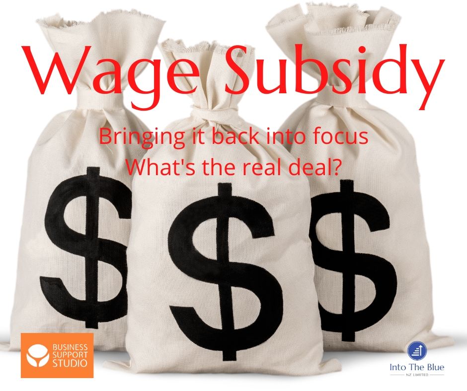 Wage Subsidy  Into the Blue