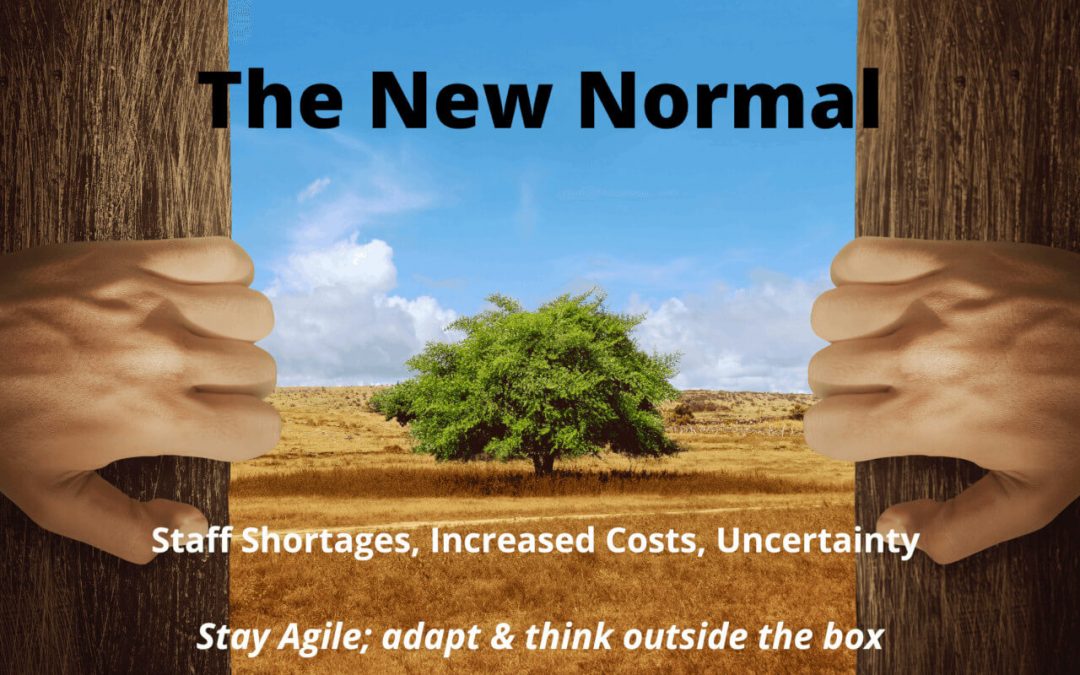 Stay ahead in the New Normal