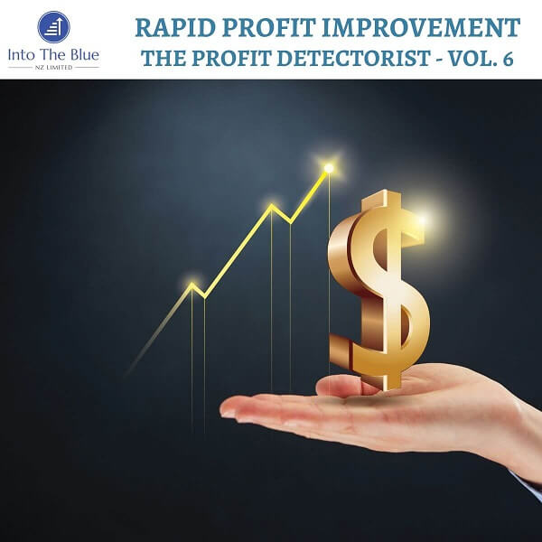 Profit Improvement Detectorist – Part 6