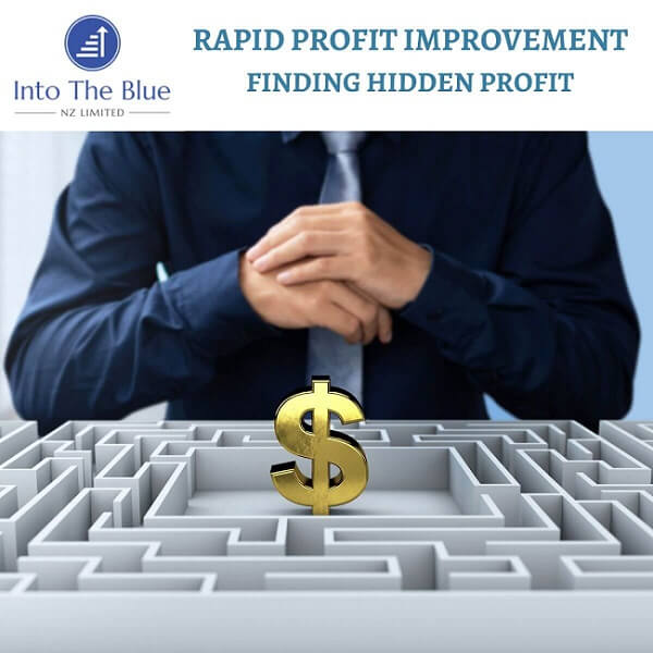 Rapid Profit Improvement – A Priority?